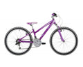 Cuda Energy 24 Purple