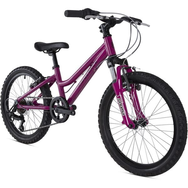 Ridgeback Harmony Purple